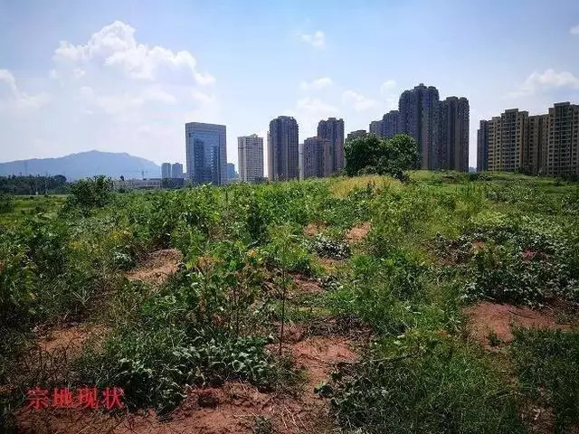 雷士创始人吴长江关联资产将遭拍卖