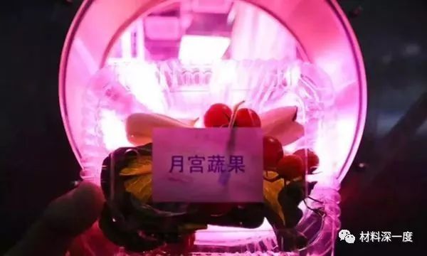 2018年回顾：植物工厂引投资热潮