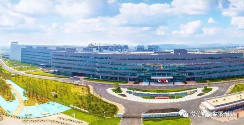 华星光电协同LTPS和AMOLED研发和市场优势，拓展高附加值细分市场