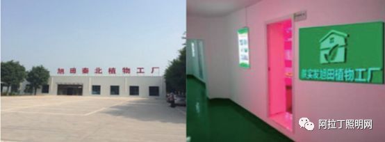 白皮书 | 植物工厂应用案例介绍