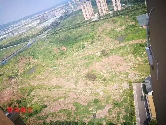 雷士创始人吴长江关联资产将遭拍卖