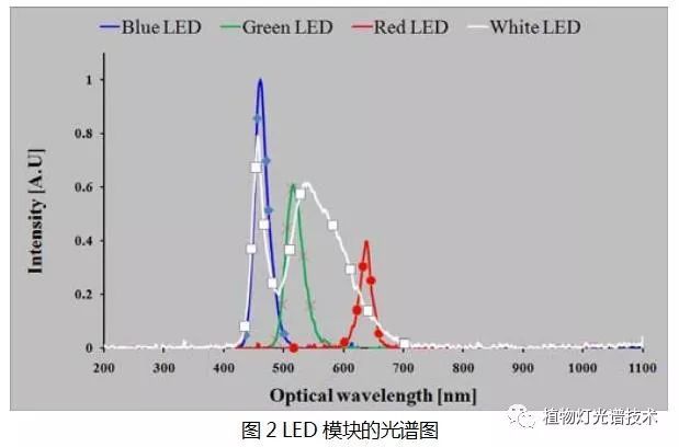 LED集鱼灯对鱿鱼光反应分析
