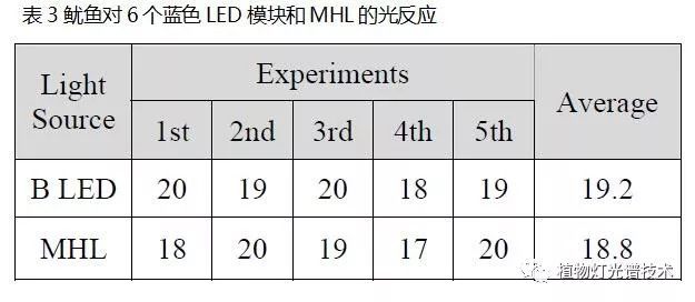 LED集鱼灯对鱿鱼光反应分析