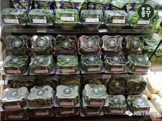 白皮书 | 植物工厂应用案例介绍