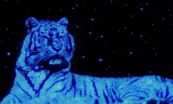 VueReal获850万美元资金，用于开发Micro LED技术