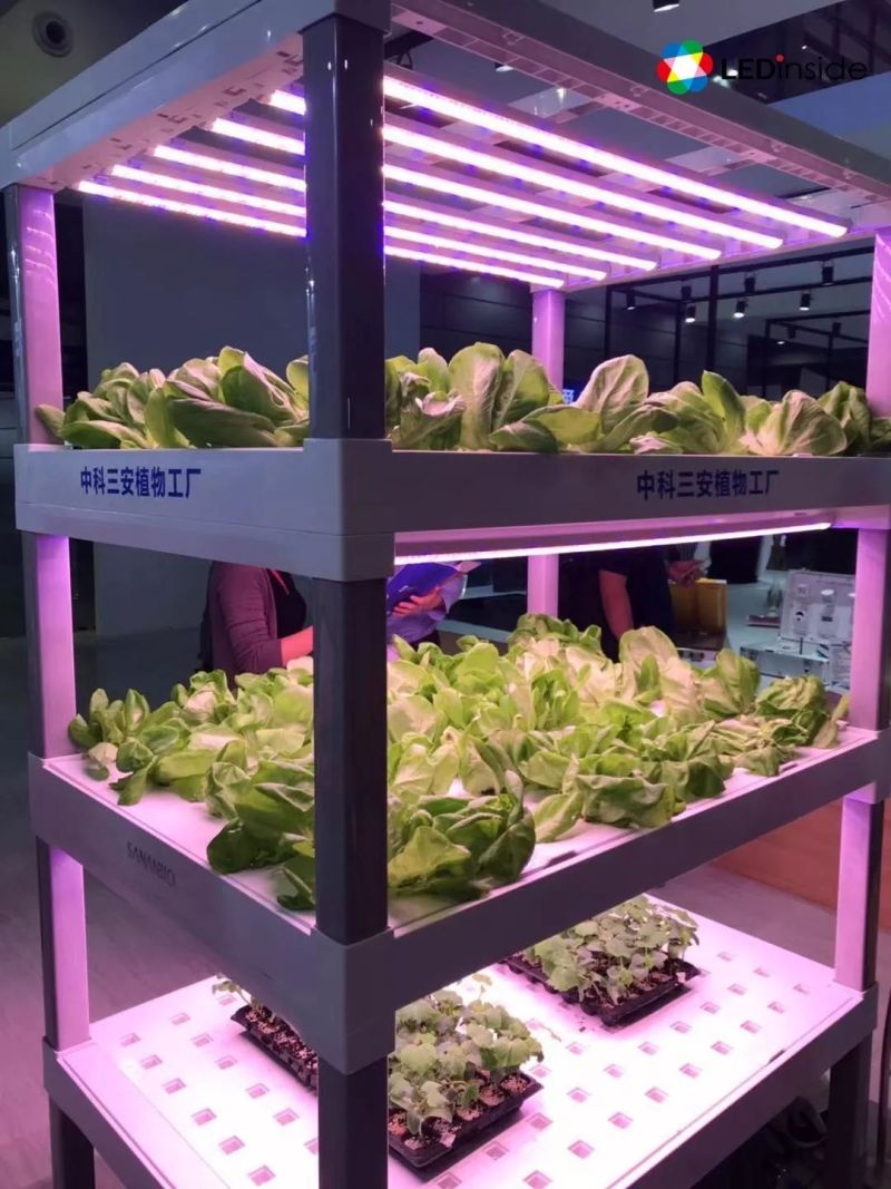 展场直击 | 2018高交会除了MiniLED，还有这些亮点......