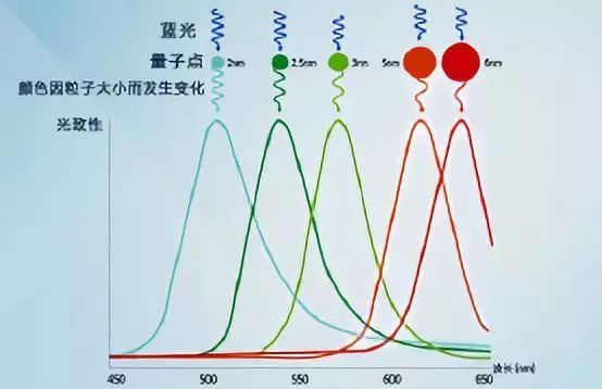 “这些”大尺寸显示屏技术，未来有望出现或商用化