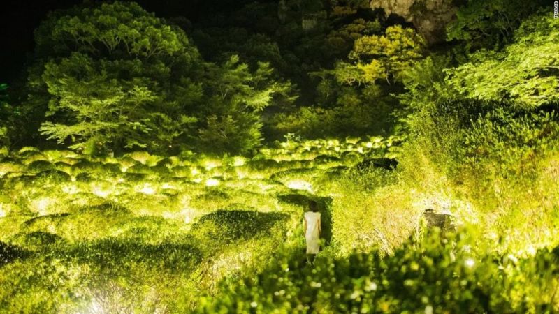 四个案例看懂「未来灯光设计」