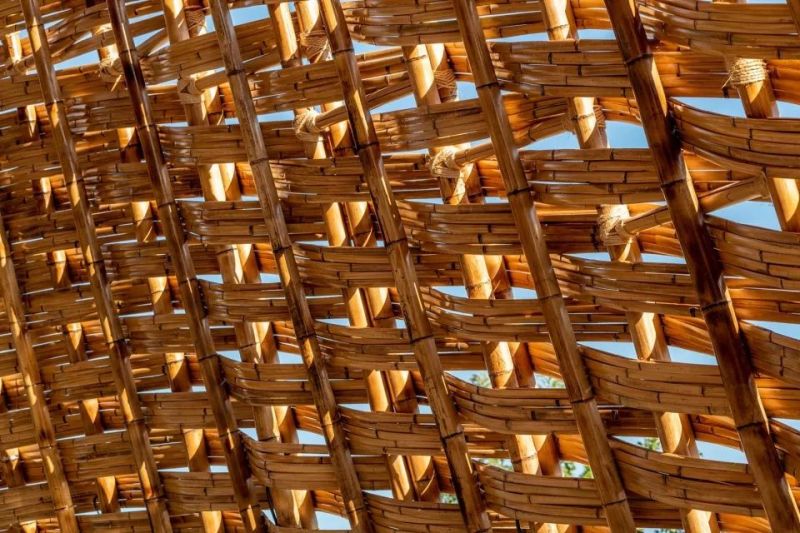 “发光的水上竹林” - 竹跡館，台中 / 坐設計事務所