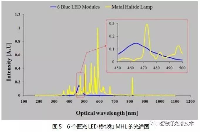 LED集鱼灯对鱿鱼光反应分析