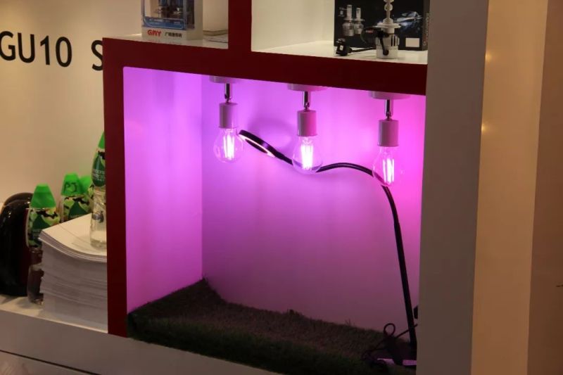 展会直击 | 中国之光网带你逛2018香港国际秋季灯饰展