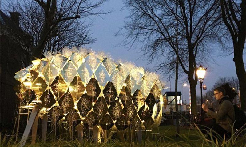 光影是流动的脉搏，你听到它的声音了吗？