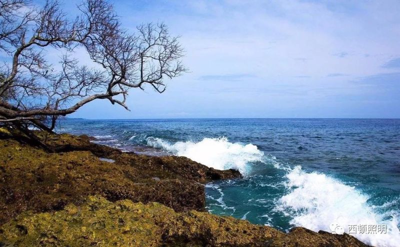 西顿案例 | 助力巴布亚新几内亚APEC会议