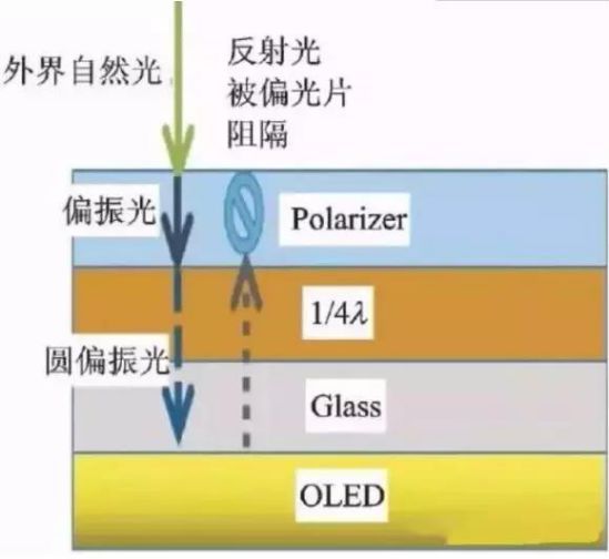 给你一篇文章，看透OLED用偏光片