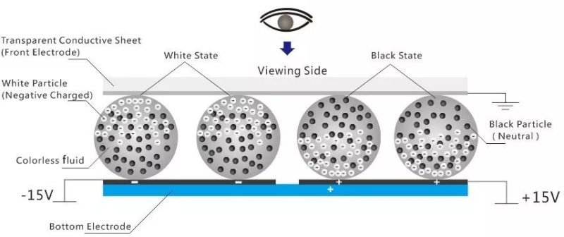 电子纸显示屏幕
