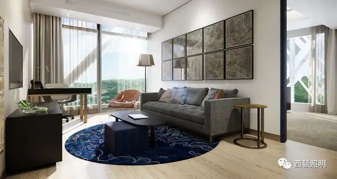 西顿案例 | 助力巴布亚新几内亚APEC会议