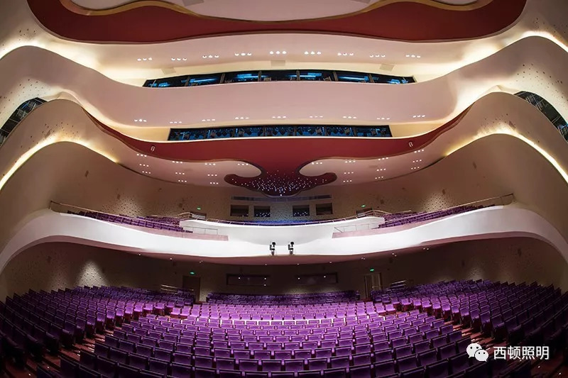 西顿线形案例 | 江苏大剧院