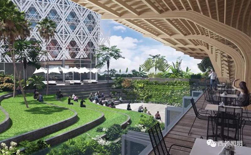 西顿案例 | 助力巴布亚新几内亚APEC会议