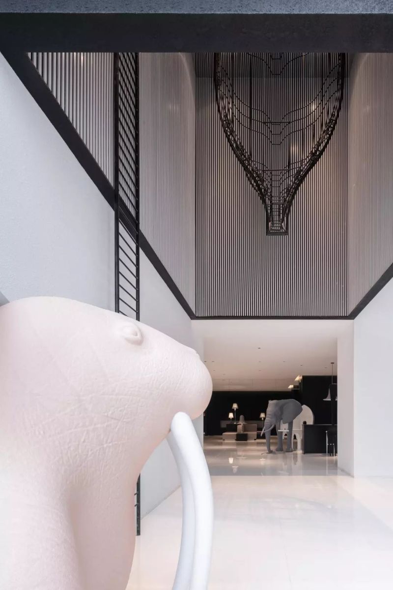 与动物对话 | 杭州Parkzoo酒店