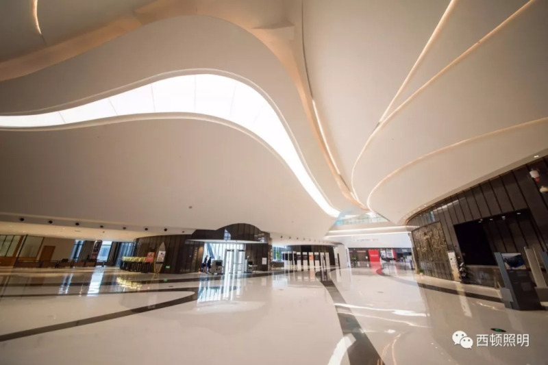 西顿线形案例 | 江苏大剧院