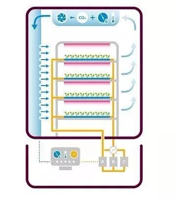 如何打造成功的植物工厂？