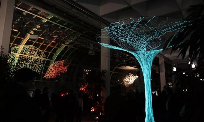 光影是流动的脉搏，你听到它的声音了吗？