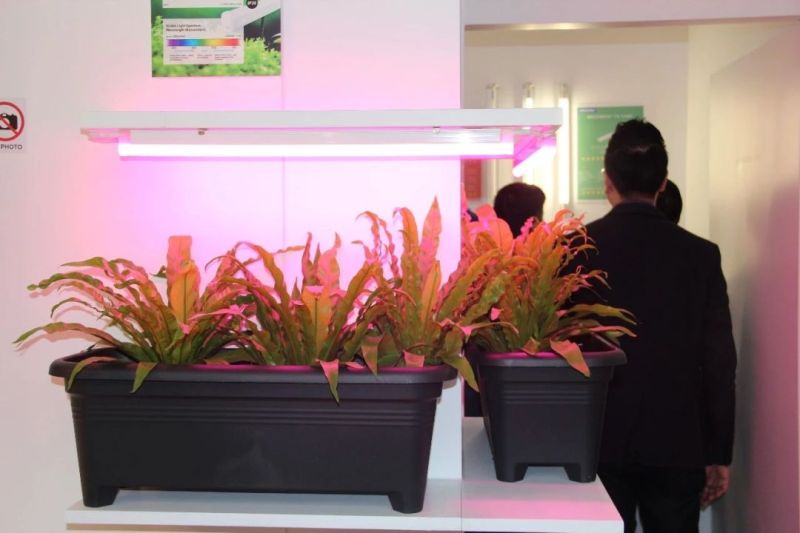 香港国际秋季灯饰展顺利举行