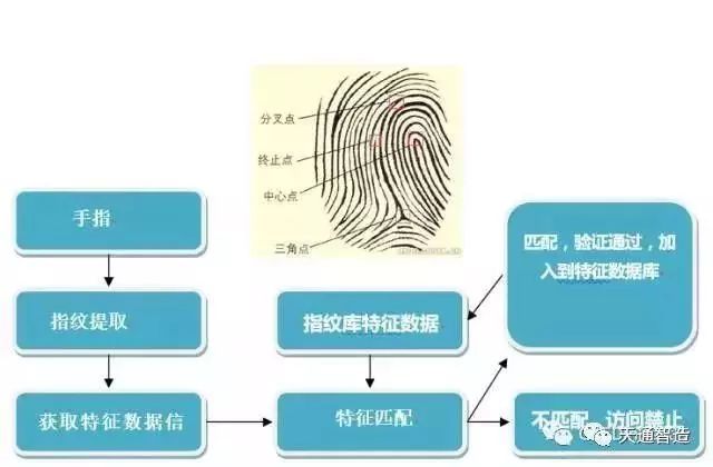 屏下指纹识别技术分类、封装及工艺流程汇总