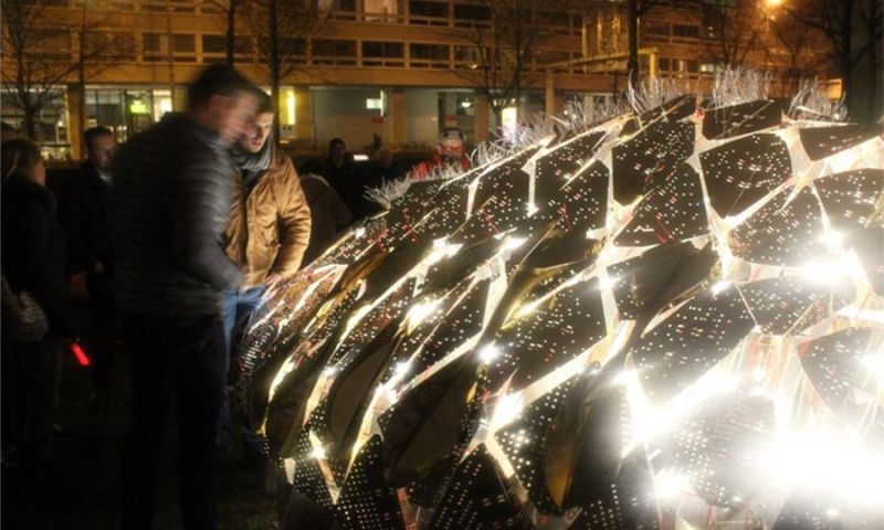 光影是流动的脉搏，你听到它的声音了吗？