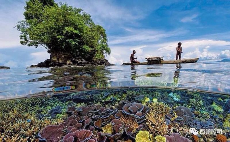 西顿案例 | 助力巴布亚新几内亚APEC会议