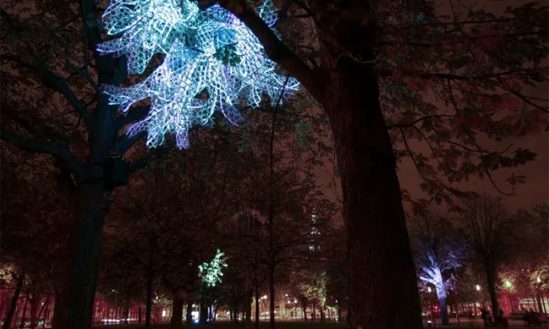 光影是流动的脉搏，你听到它的声音了吗？