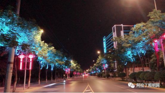 从植物照明看夜间和谐光环境如何科学设计