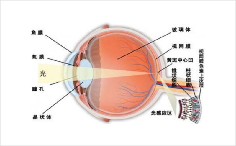 聊聊“健康照明”那些事！