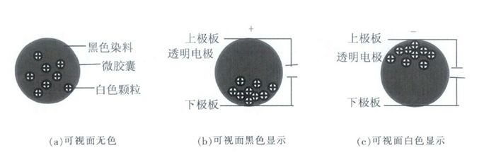 行家说