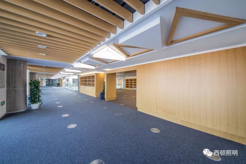 西顿案例 | 西交利物浦大学