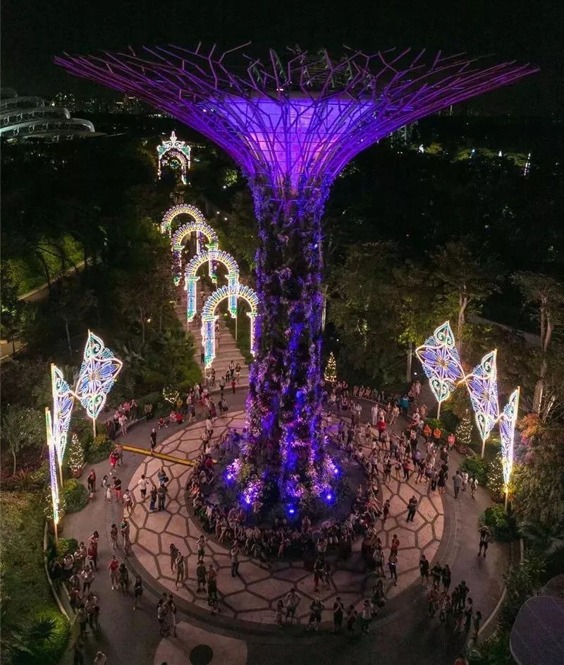 领略异国他乡的灯光风采