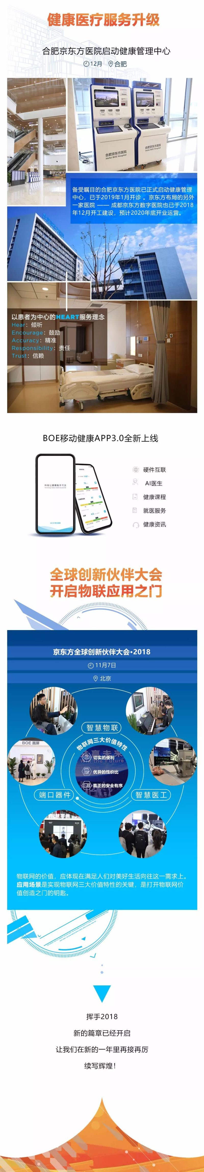 京东方2018年度盘点