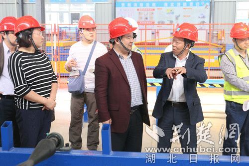 武汉京东方10.5代、康宁10.5代项目最新进展