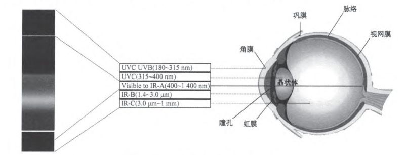 最新成果｜国星光电推出全光谱系列LED