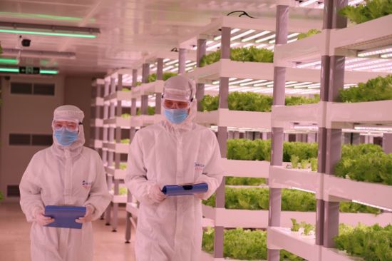 中科三安自主研发全国首套全自动化垂直农业生产系统