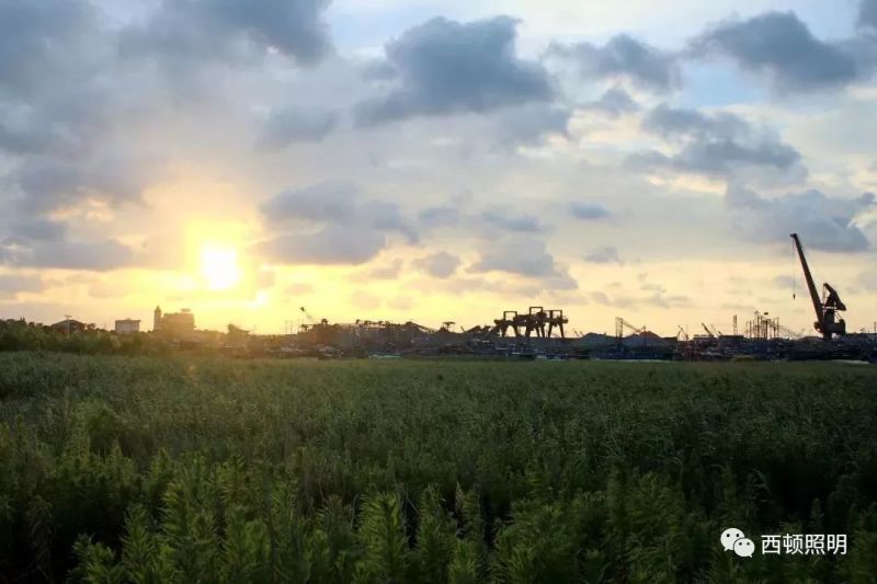 西顿案例 | 上海三甲港绿地铂骊酒店