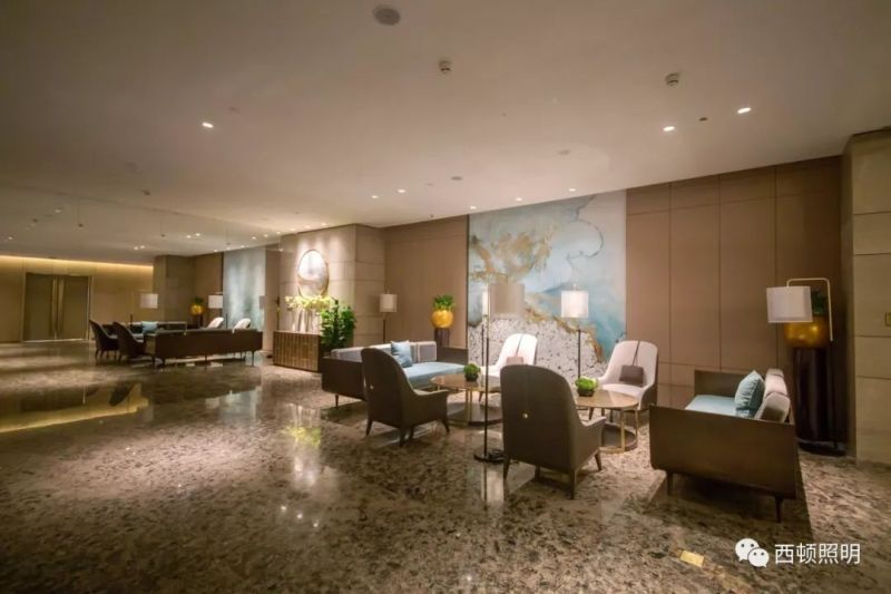 西顿案例 | 高铁金科大酒店
