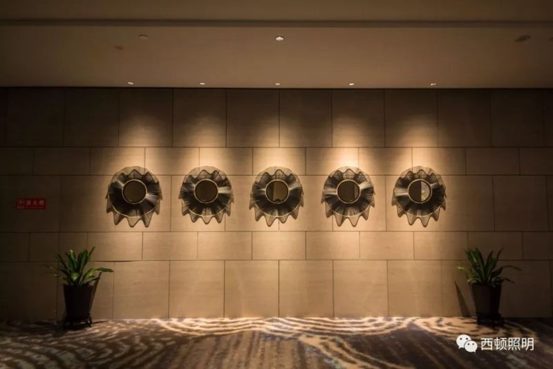 西顿案例 | 高铁金科大酒店