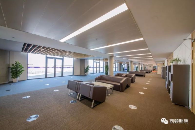 西顿案例 | 西交利物浦大学