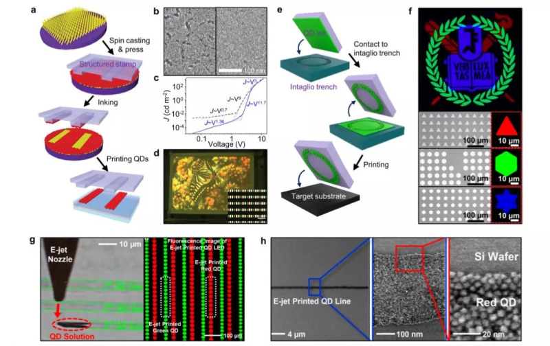 技术课堂 | QLED：下一代柔性显示器详解