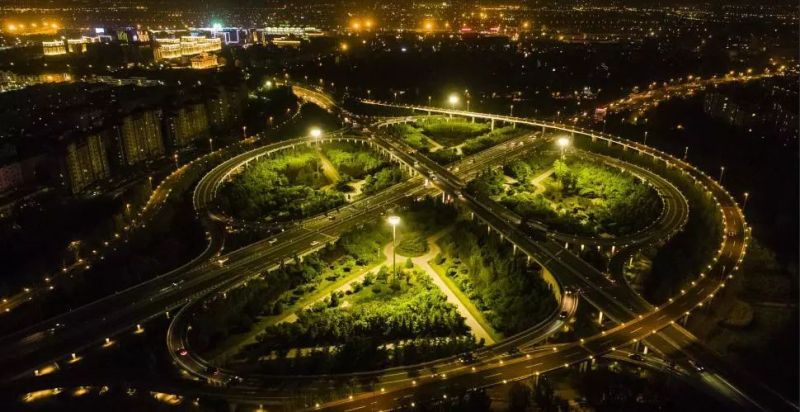 【夜游黄浦江】观魔都  赏瑰丽