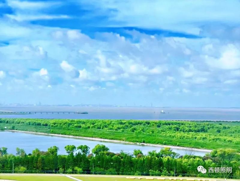 西顿案例 | 上海三甲港绿地铂骊酒店