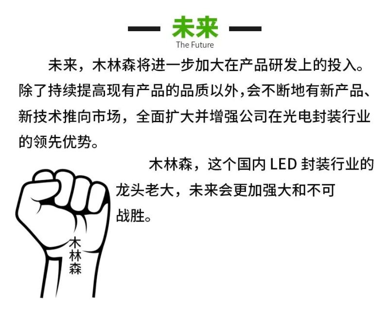 看百亿封装龙头木林森 如何布局显示屏封装
