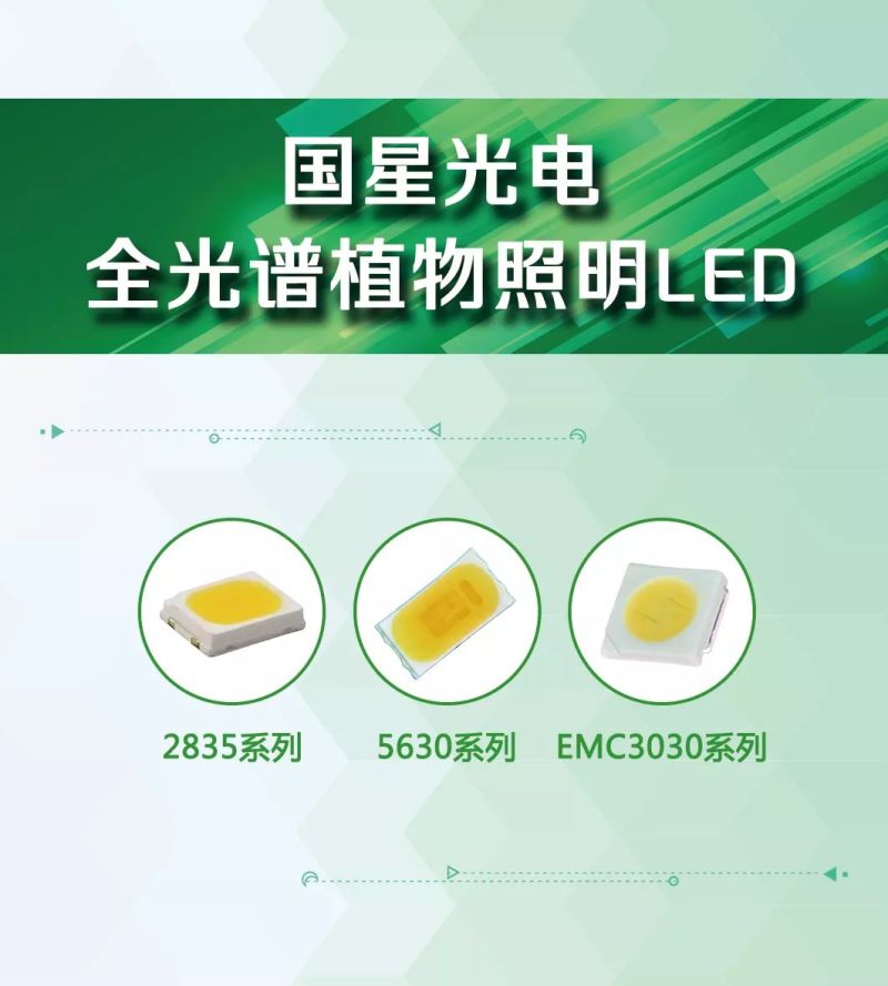 深度解析 | 现代植物照明的最新成果