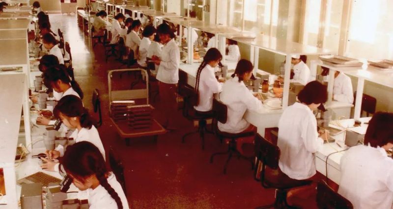 国星·记忆 | 50周年有奖征集活动